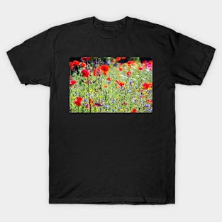 Summer meadow flowers in Yorkshire,UK T-Shirt